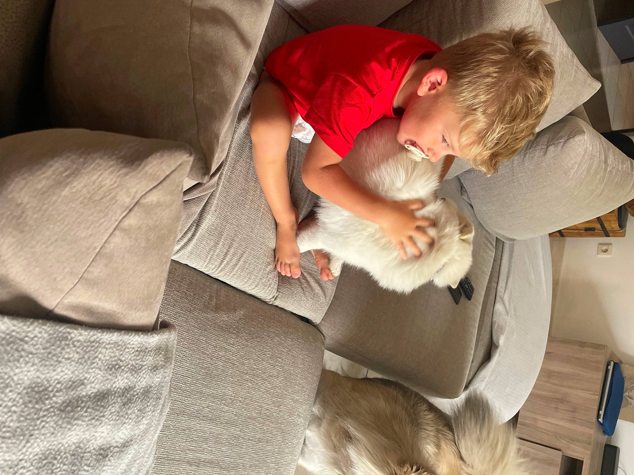 Eden participe au concours pour gagner de l'argent avec cette photo : baby, bedtime, car_seat, child, comfort, couch, elbow, flooring, fur, human_leg, knee, lap, linens, nap, person, reading, room, sitting, sleep, throw_pillow