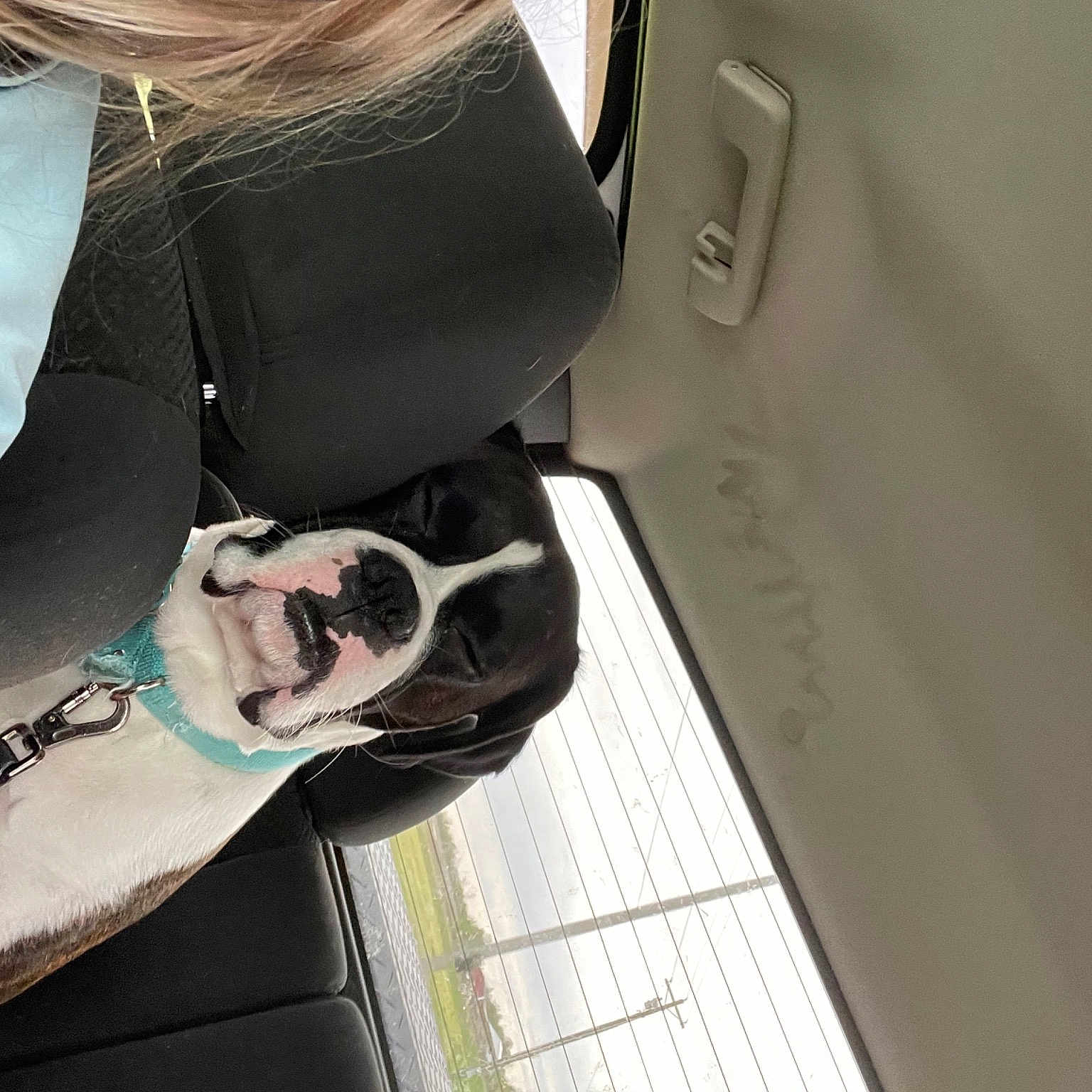 Drama is registered to the contest to win money with this photo: bag, chest, companion_dog, dog, elbow, eyewear, fashion_accessory, glasses, goggles, human_leg, jewellery, pattern, personal_protective_equipment, selfie, sleeve, strap, sunglasses, vehicle_door, vision_care, waist