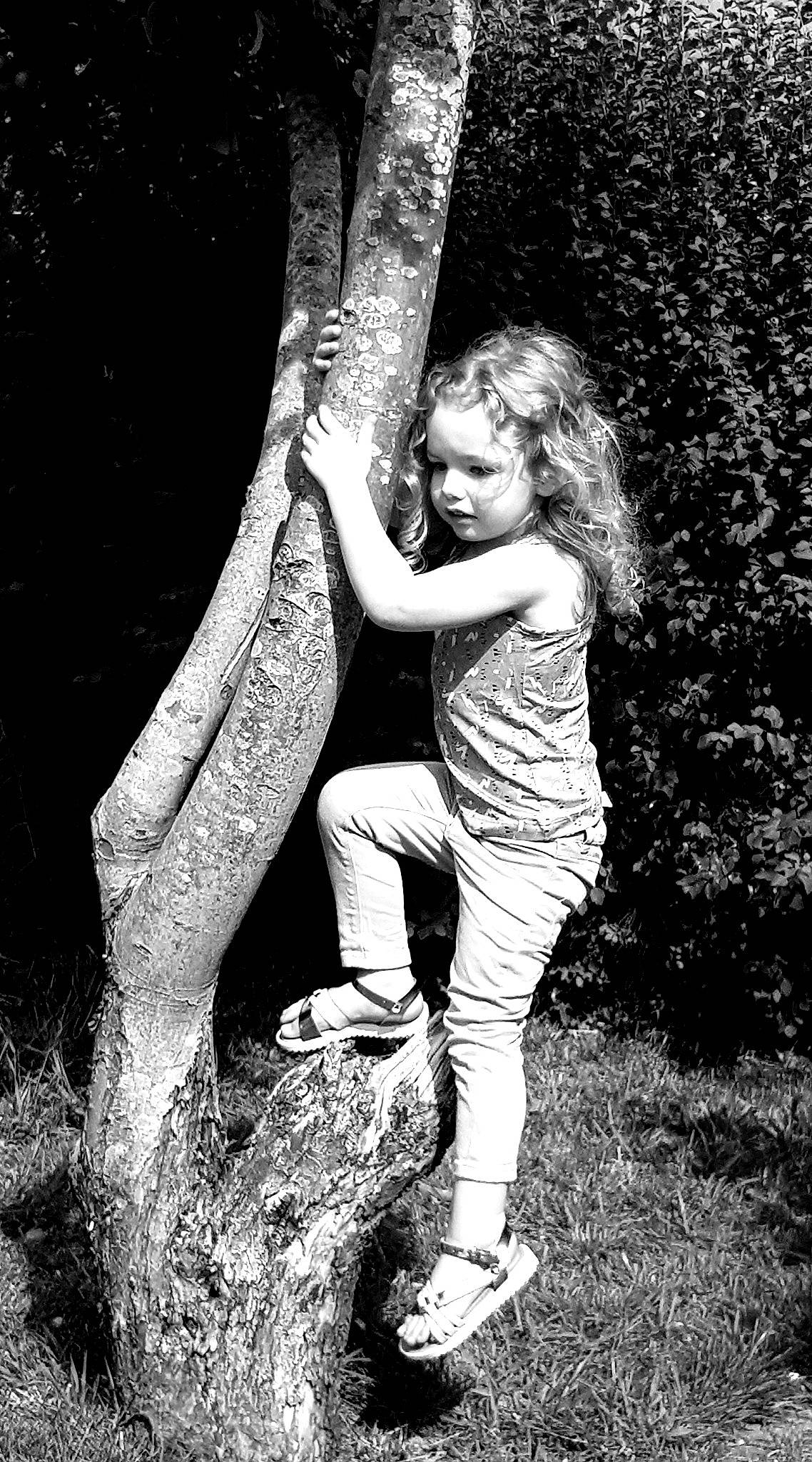 Louisa participe au concours pour gagner de l'argent avec cette photo : black_and_white, branch, fun, gesture, happy, human_body, leg, long_hair, monochrome, monochrome_photography, people_in_nature, person, photo_shoot, photograph, photography, plant, standing, stock_photography, tree, trunk