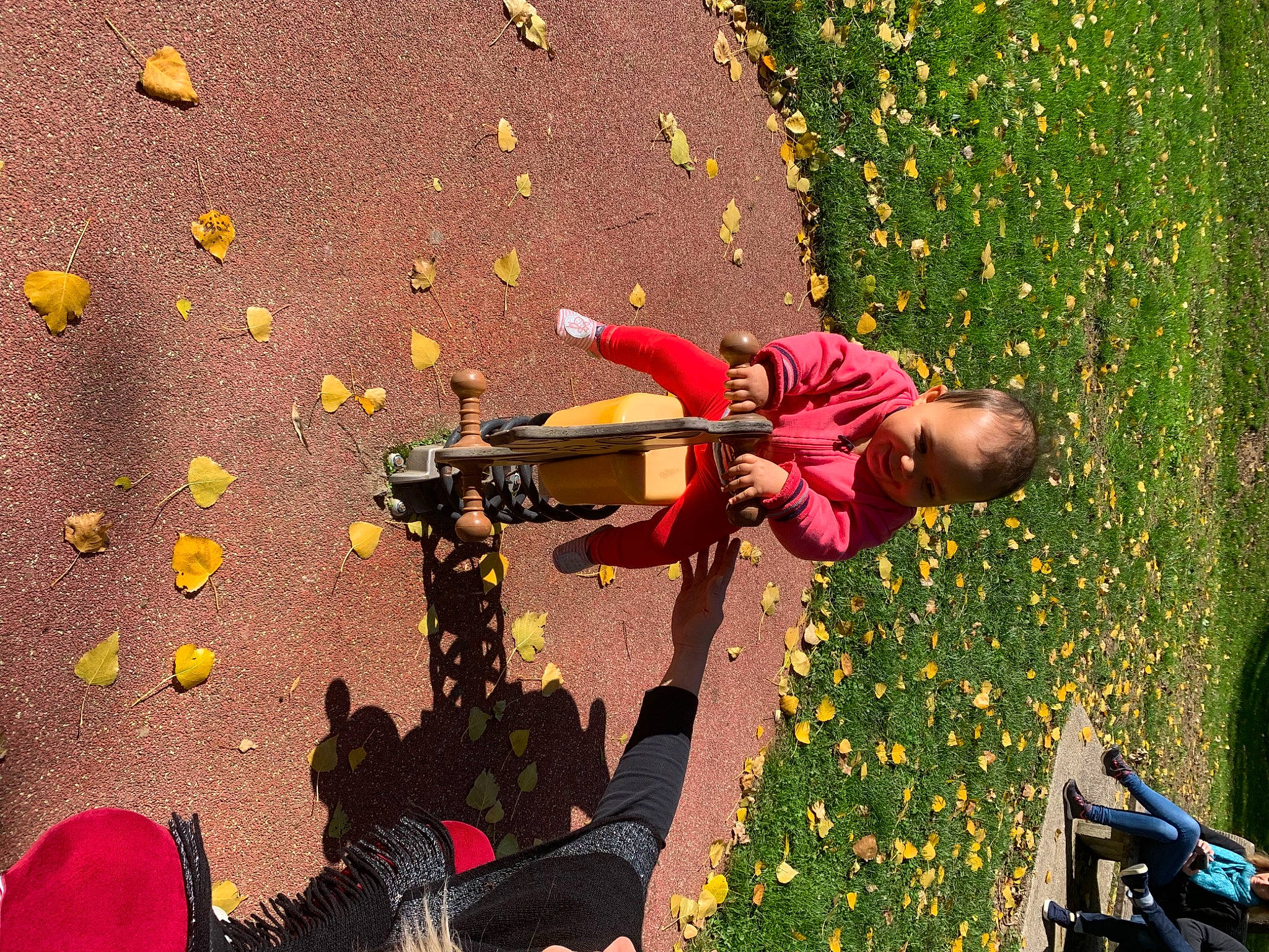 Ruby a rejoint le concours — aidez-le/la à gagner de superbes lots ! adventure, autumn, child, flower, fun, grass, happy, headwear, leaf, leisure, orange, people_in_nature, person, plant, play, recreation, red, shadow, shrub, soil