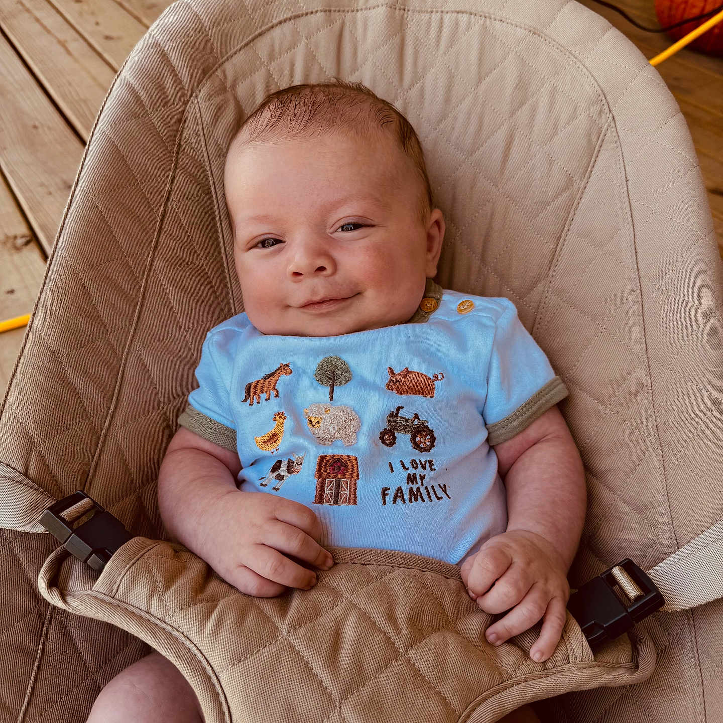 Huddson is registered to the contest to win money with this photo: baby, baby_seat, blue_shirt, clothing, comfort, cute, face, farm_animals, hand, happy, indoor, infant, person, portrait, pumpkin, quilted, relaxation, smile, text_on_clothing, wooden_deck
