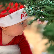 Elyo participe au concours pour gagner de l'argent avec cette photo : baby, candid, celebration, child, christmas_hat, christmas_tree, curious, cute, face, festive, greenery, holiday, indoors, infant, pine_needles, portrait, profile, red_clothing, seasonal, soft_focus