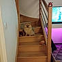 dog, pomeranian, stairs, wooden_stairs, plush_toy, living_room, television, indoor, pet, animal, furniture, light_switch, railing, wood, smiling_dog, small_dog, home, cozy, purple_light, carpet