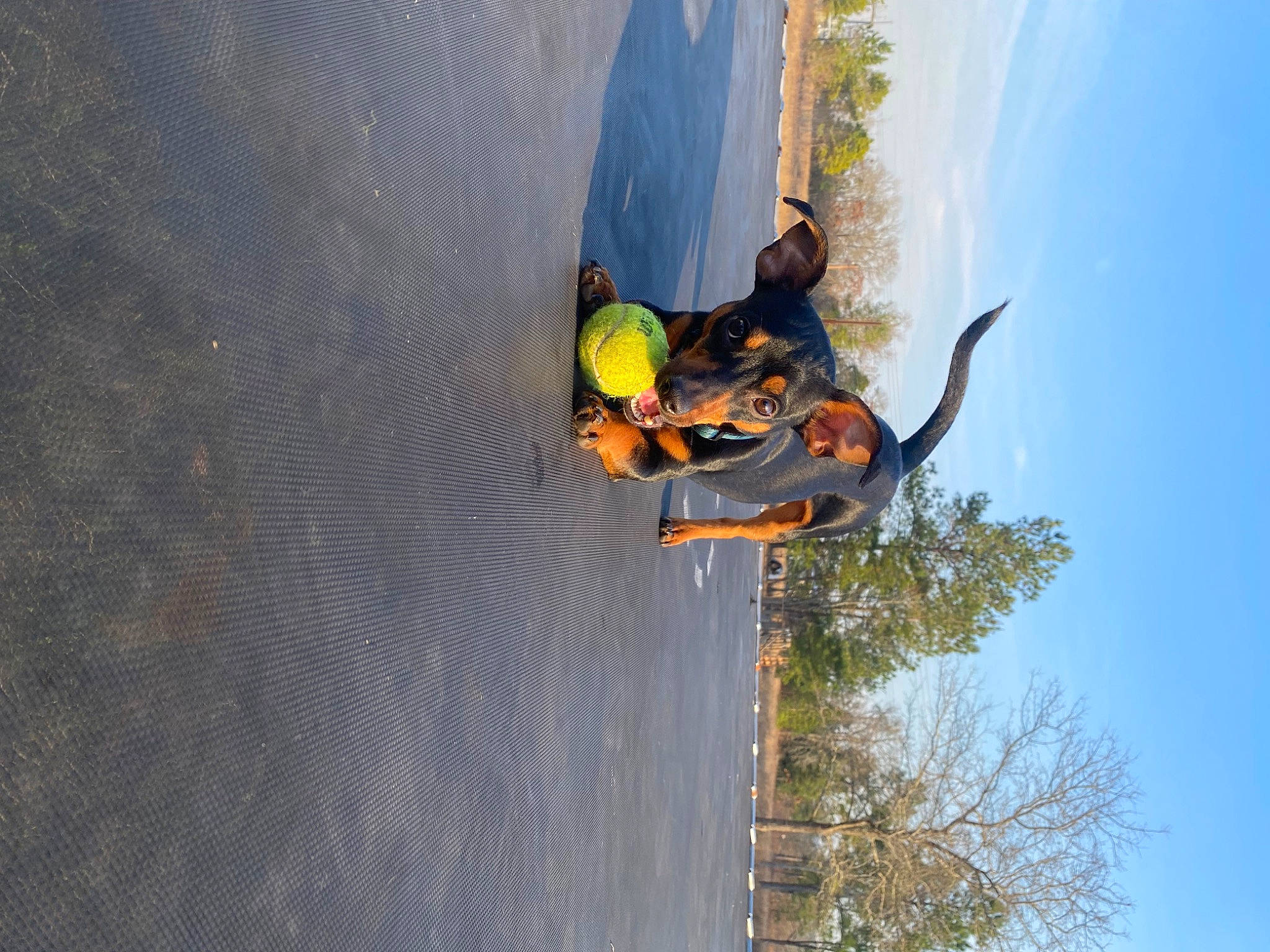 Drake is registered to the contest to win money with this photo: adventure, air_sports, asphalt, extreme_sport, fun, landscape, leisure, plant, recreation, reflection, sky, slope, sports, stunt_performer, tire, tree, vehicle, water, wind, wood