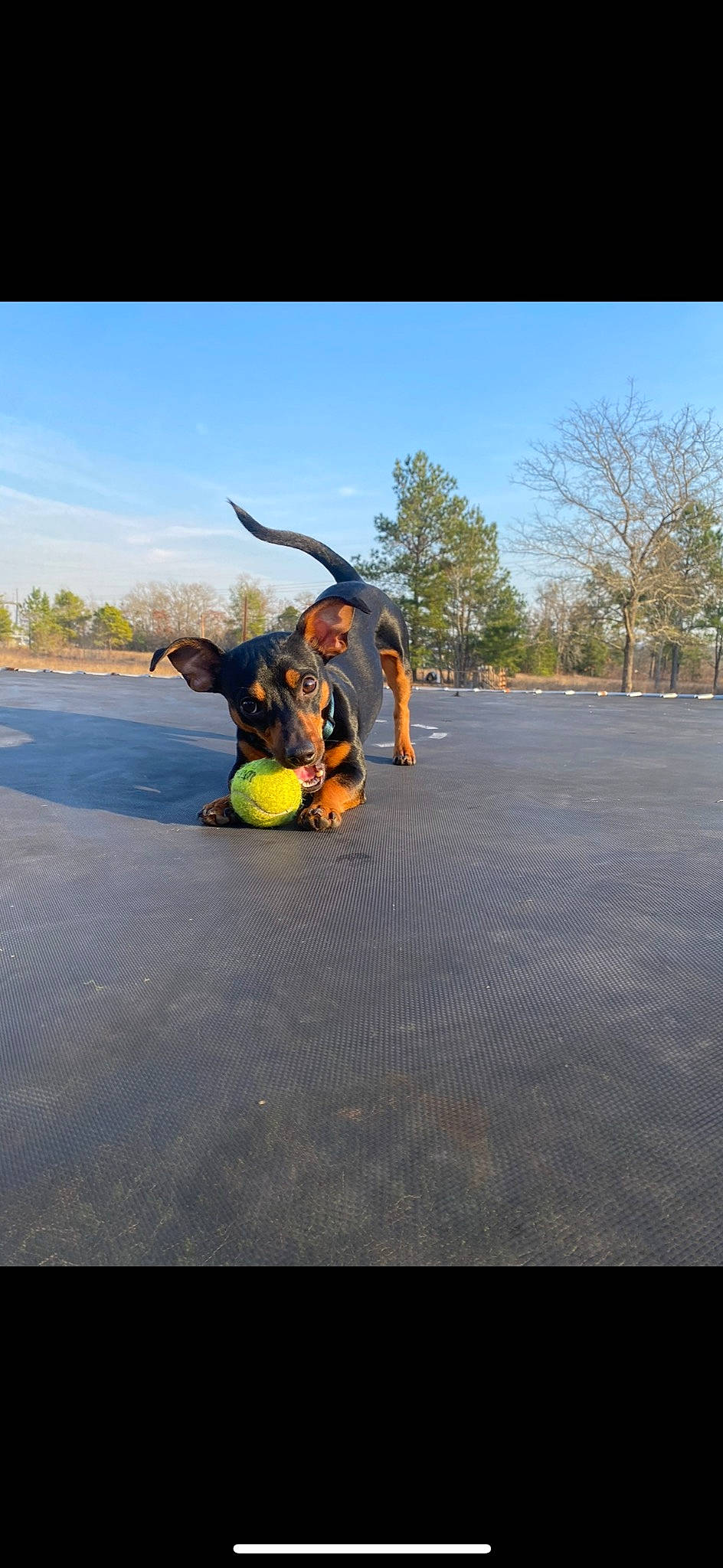 Drake is registered to the contest to win money with this photo: adventure, animation, asphalt, costume, extreme_sport, fictional_character, fun, grass, landscape, leisure, personal_protective_equipment, plant, recreation, road, road_surface, sky, stunt_performer, tail, tree, water