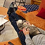 cat, person, couch, indoor, blanket, chair, socks, jeans, remote_control, shelf, glass, ashtray, pillow, table, floor, hand, petting, relaxation, home, casual