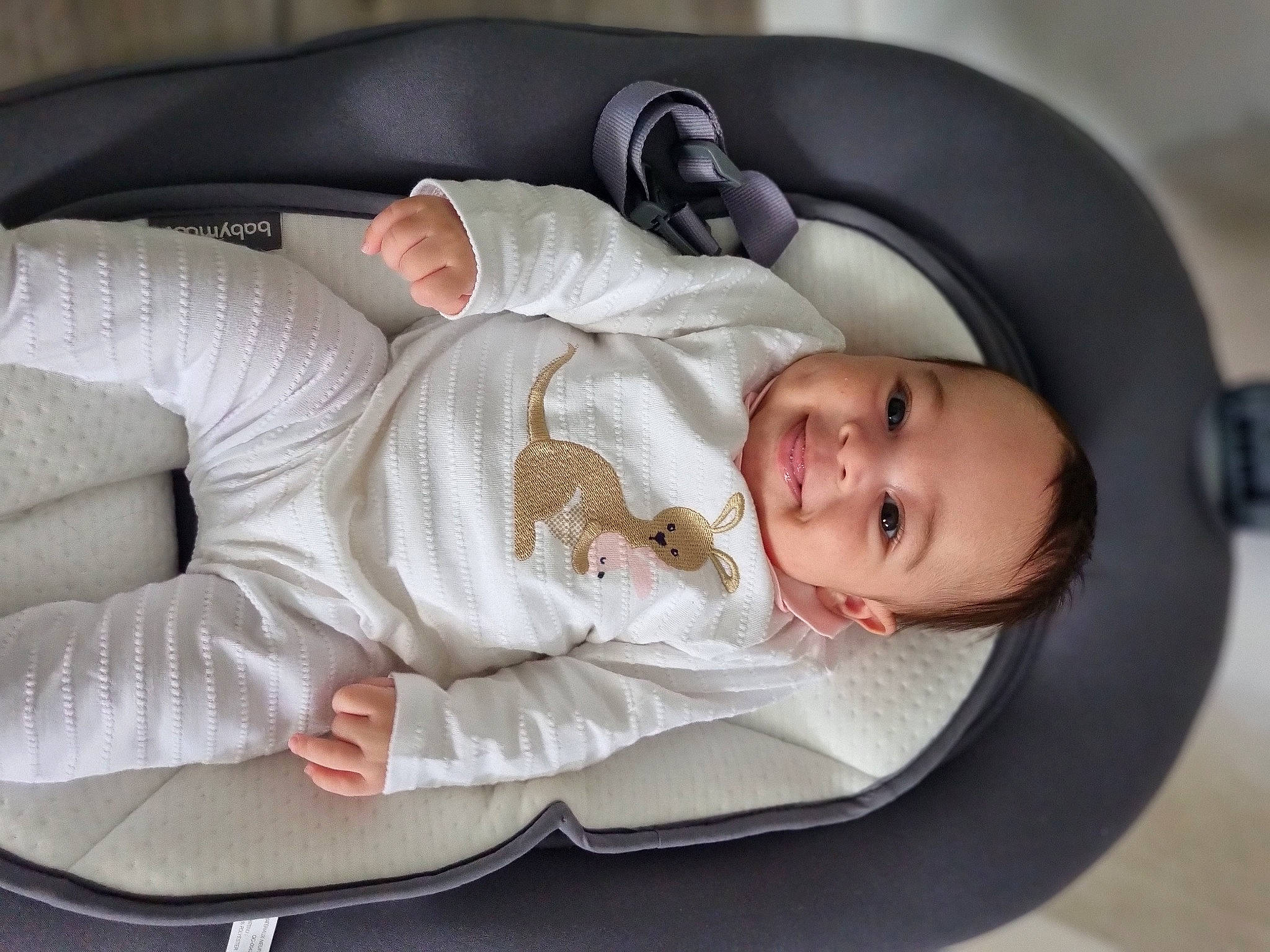 Siham participe au concours pour gagner de l'argent avec cette photo : baby, baby_products, baby_toddler_clothing, car_seat, child, comfort, linens, nap, person, room, sitting, sleep, textile, toddler
