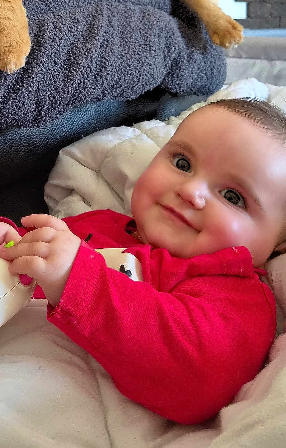 Romy participe au concours pour gagner de l'argent avec cette photo : baby, infant, smile, chubby_cheeks, big_eyes, red_shirt, white_blanket, sofa, gray_blanket, toy, hand, fingers, portrait, close_up, indoors, cute, happy, peaceful, pet_paw, relaxing