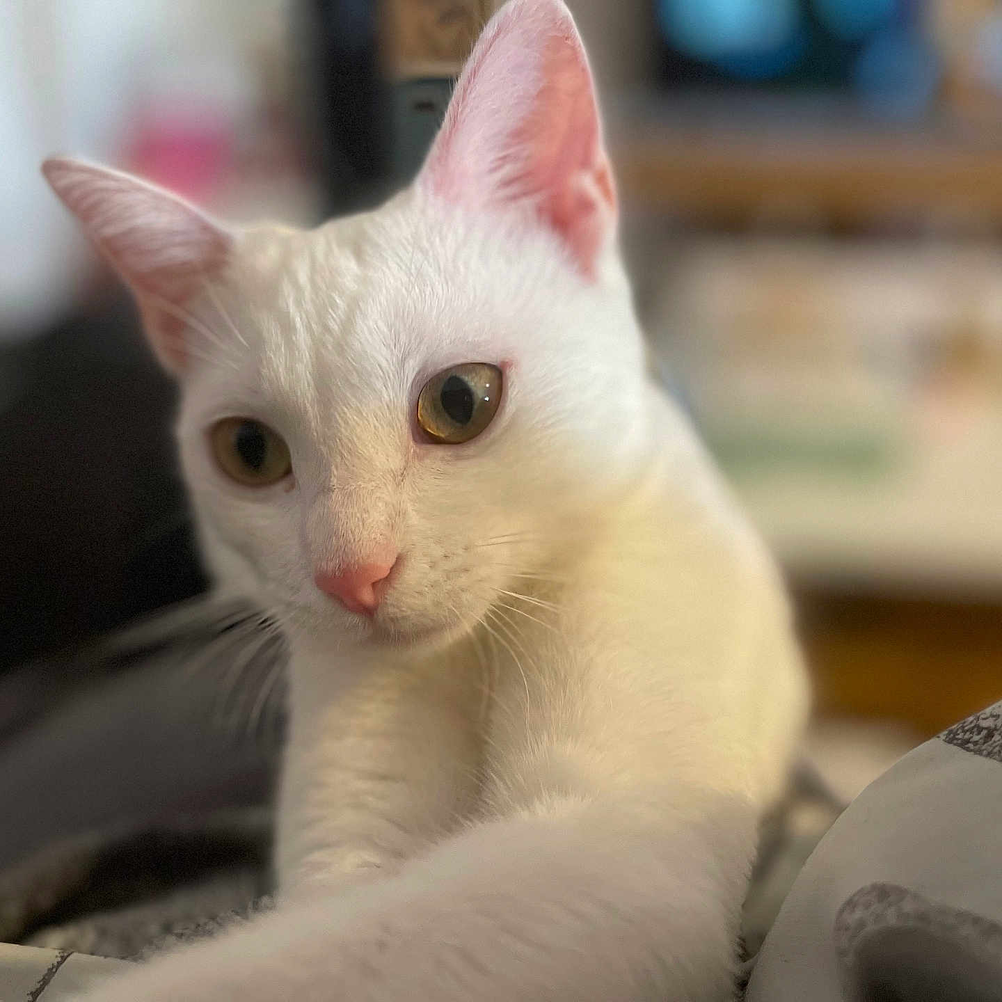 Zoey