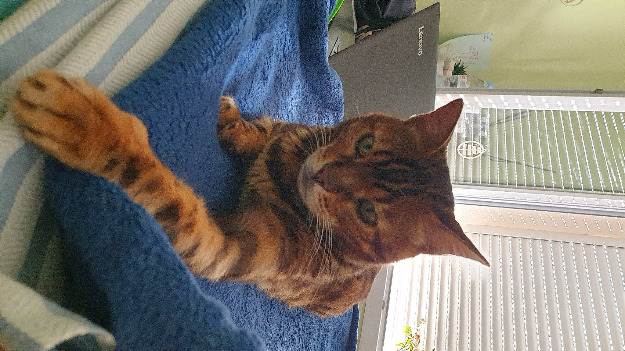 Léo