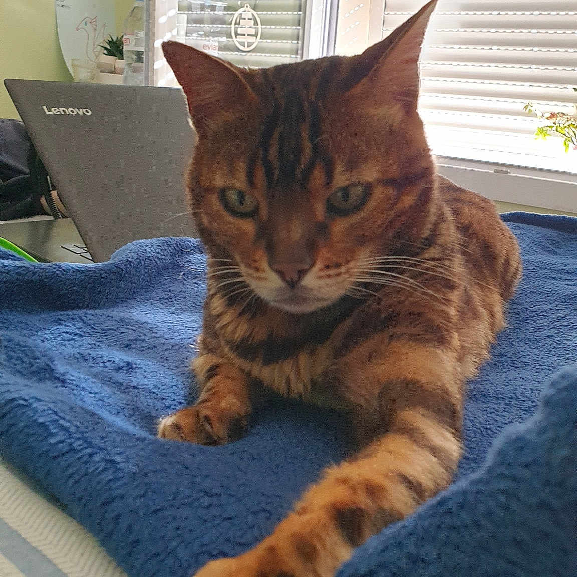 Léo
