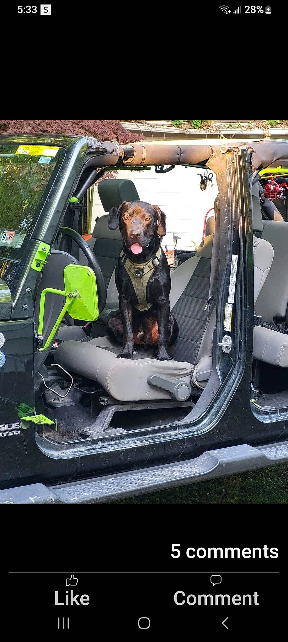 Deogee joined the competition — help win amazing prizes! auto_part, automotive_design, automotive_exterior, automotive_lighting, bag, bumper, car, carnivore, companion_dog, dog, dog_breed, family_car, hood, luggage_and_bags, motor_vehicle, personal_luxury_car, plant, trunk, vehicle, vehicle_door