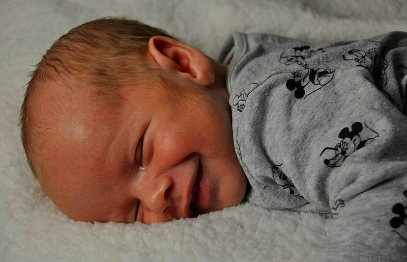 Thao participe au concours pour gagner de l'argent avec cette photo : baby, baby_sleeping, bed, bedding, bedtime, cheek, child, childbirth, comfort, event, eye, fur, linens, nap, nose, person, portrait_photography, sleep, toddler, vertebrate