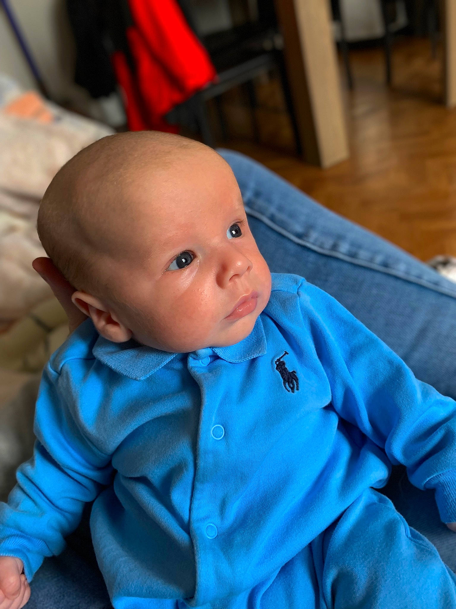 Thao participe au concours pour gagner de l'argent avec cette photo : baby, baby_toddler_clothing, cheek, child, collar, comfort, electric_blue, flooring, fun, fur, hardwood, iris, linens, nose, person, room, sitting, skin, sleeve, toddler