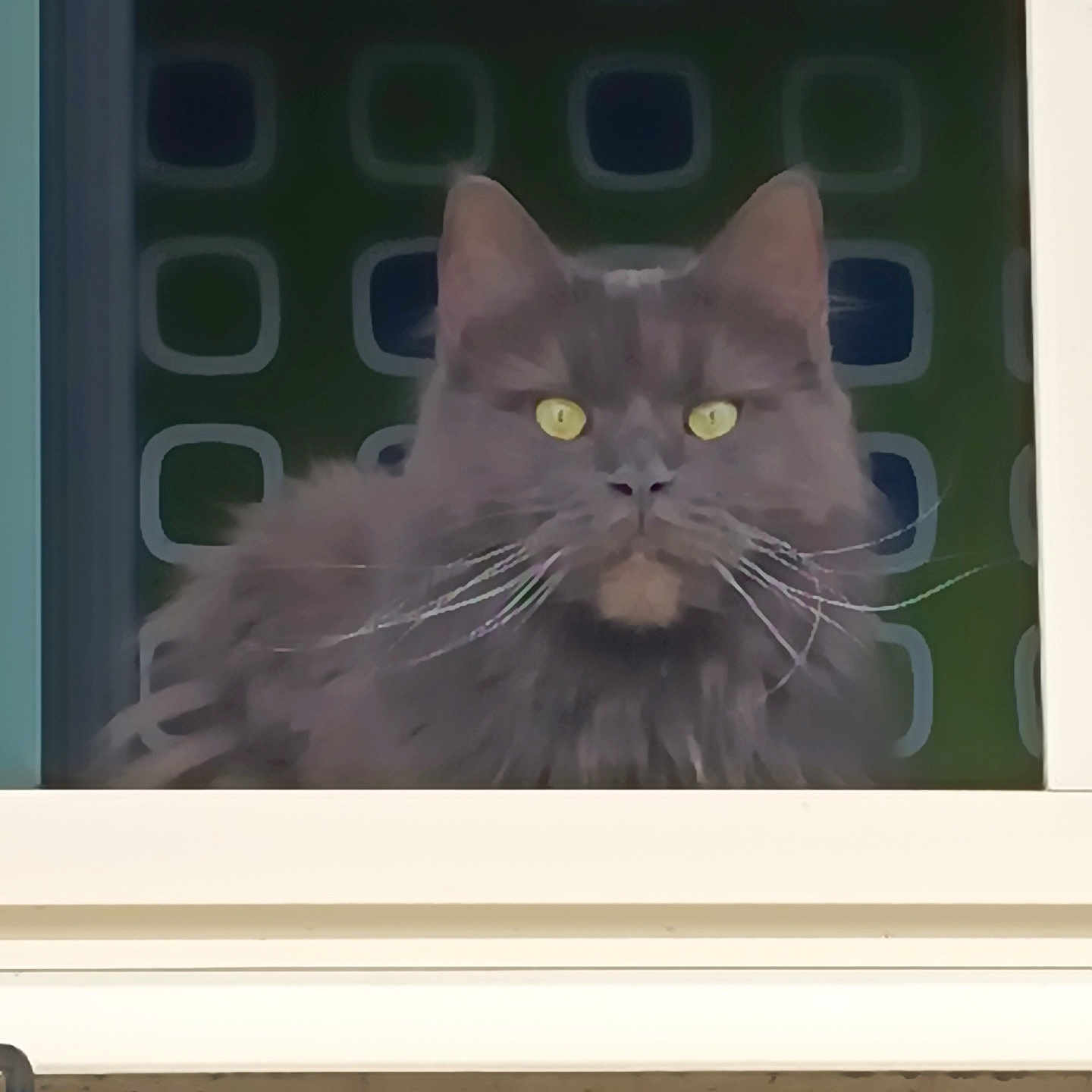Rosie