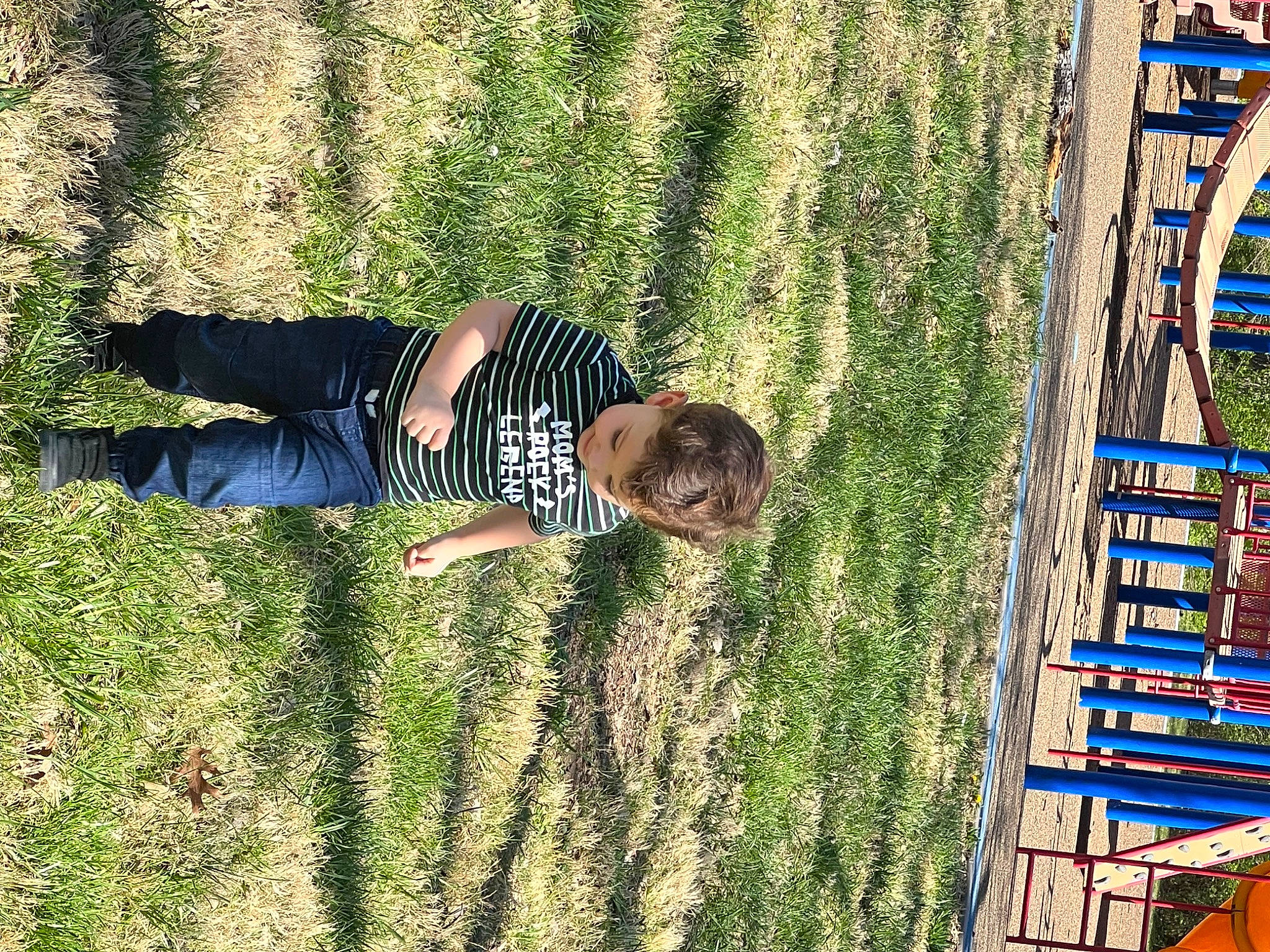 Keegan is registered to the contest to win money with this photo: child, field, fun, grass, grassland, happy, landscape, leisure, pattern, people_in_nature, person, plant, play, recreation, shadow, shrub, soil, t_shirt, tree, vegetation