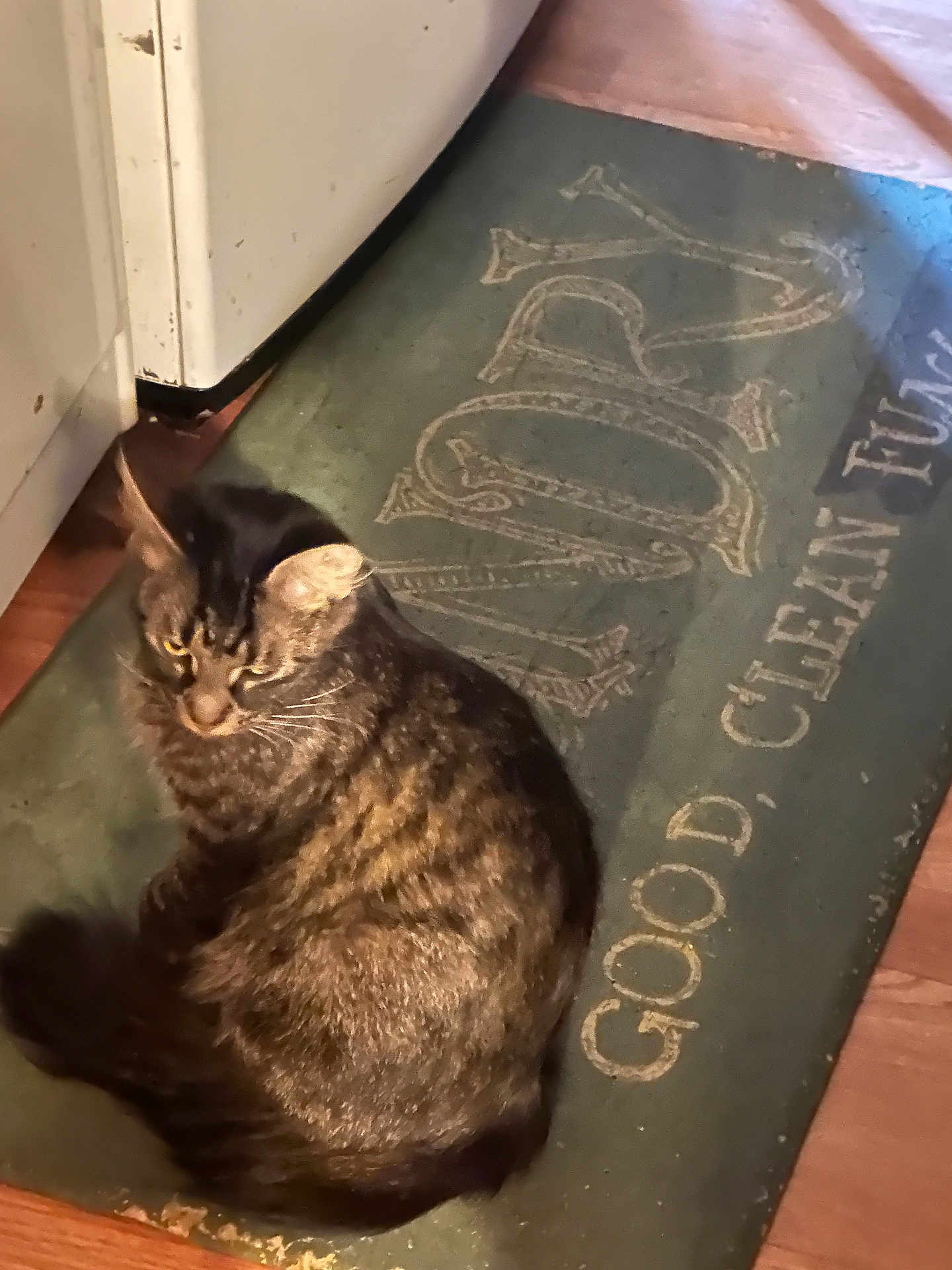 Maximus
