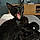 Salem