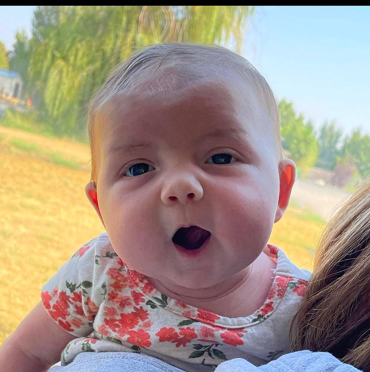 Georgia is registered to the contest to win money with this photo: baby, baby_toddler_clothing, beauty, cheek, child, ear, eyelash, finger, fun, grass, happy, iris, lip, mouth, nose, person, photograph, plant, skin, toddler