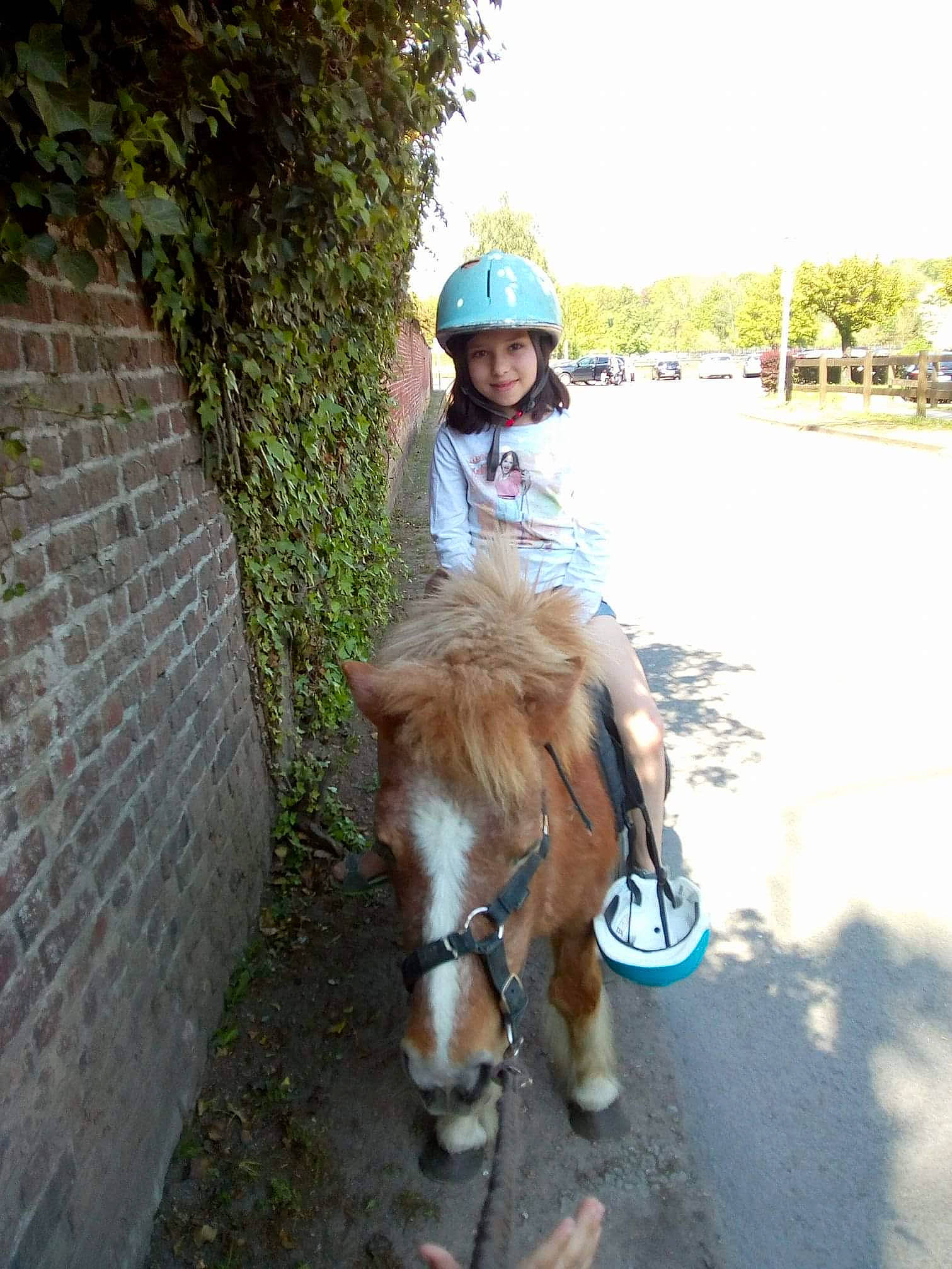 Floriane participe au concours pour gagner de l'argent avec cette photo : bridle, headwear, horse, horse_harness, horse_like_mammal, horse_supplies, horse_tack, joy, livestock, mammal, mane, mare, pack_animal, person, pony, rein, tree, vertebrate