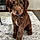 Arlo