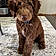 Arlo