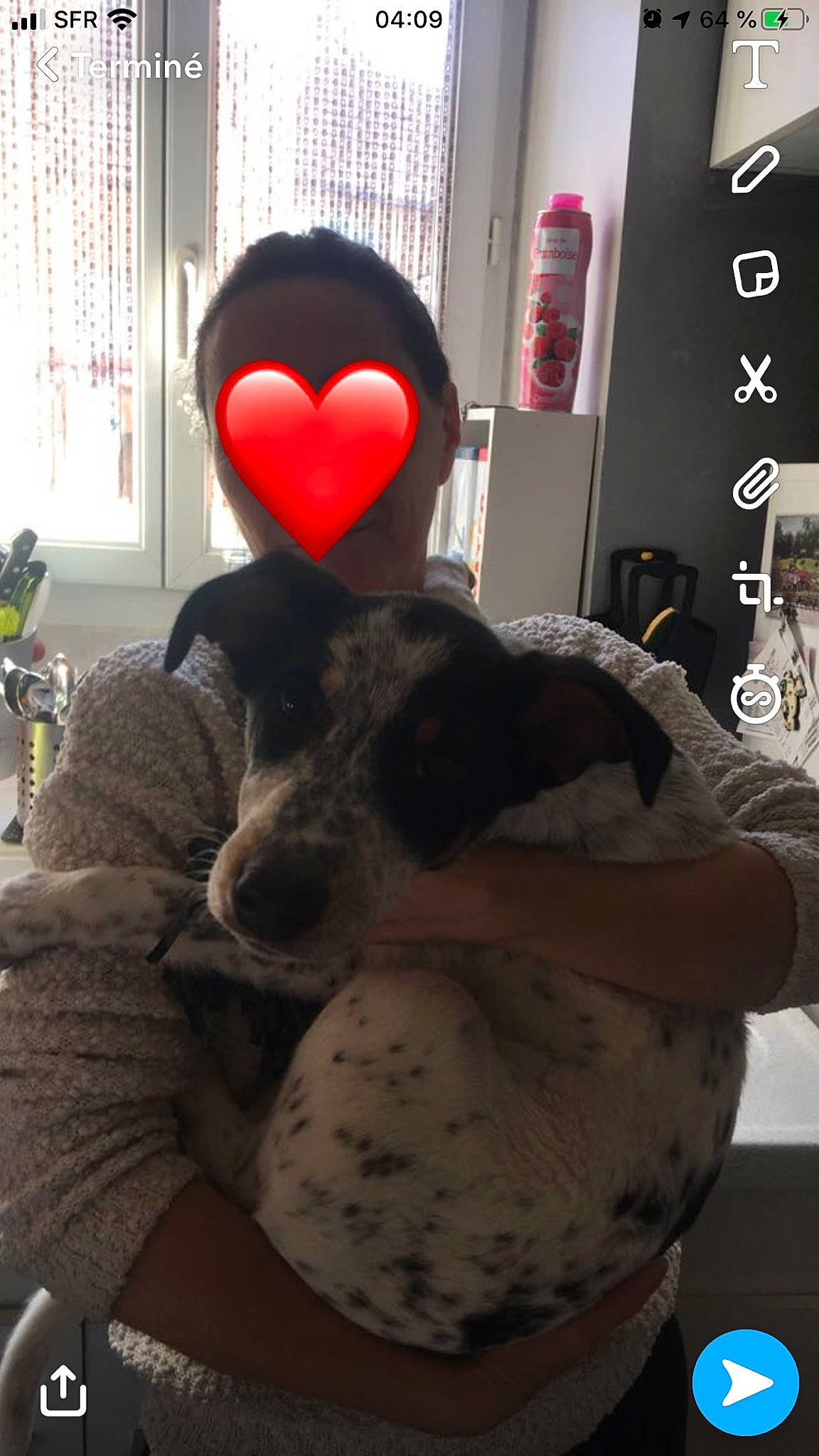 Priska participe au concours pour gagner de l'argent avec cette photo : plush, stuffed_toy, toy