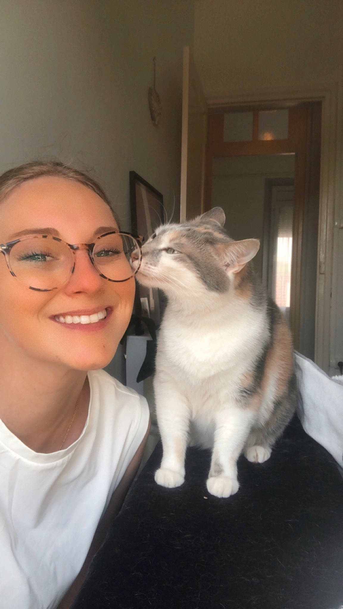 Bubulle participe au concours pour gagner de l'argent avec cette photo : carnivore, cat, domestic_short_haired_cat, door, eyewear, fawn, felidae, formal_wear, fur, gesture, glasses, happy, jaw, paw, small_to_medium_sized_cats, smile, tail, thai, vision_care, whiskers