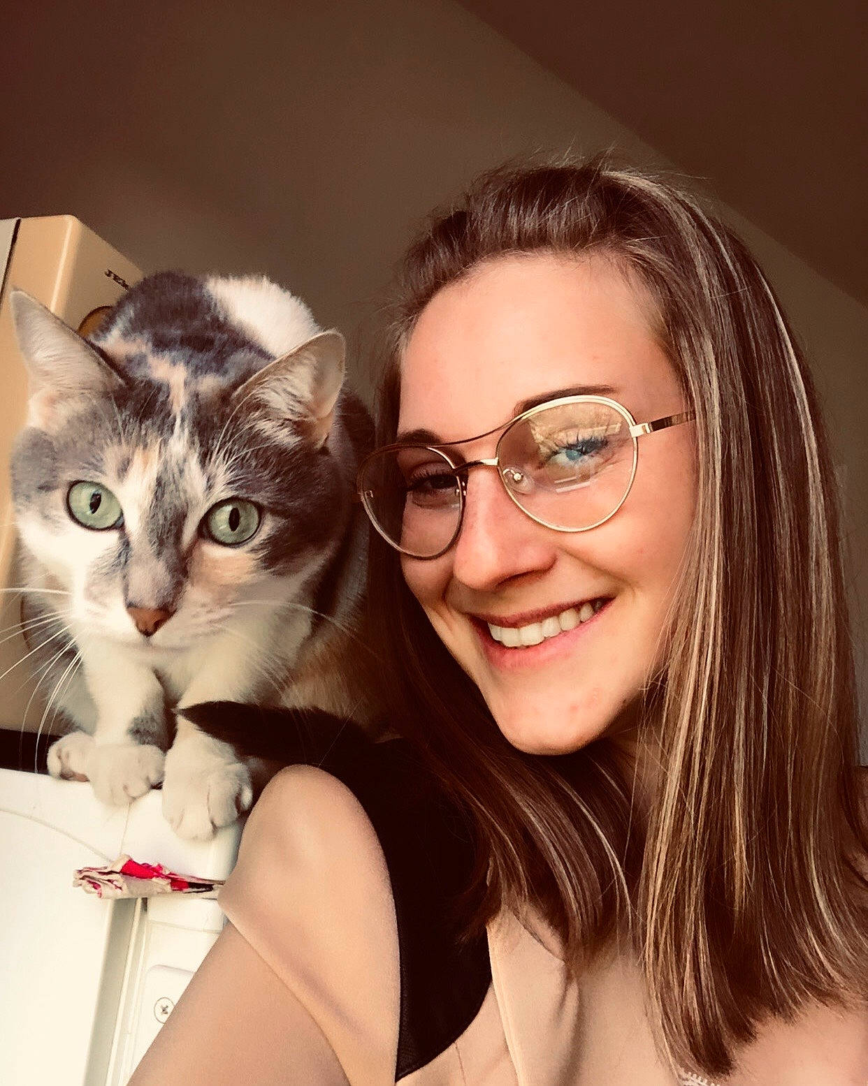 Bubulle participe au concours pour gagner de l'argent avec cette photo : carnivore, cat, comfort, domestic_short_haired_cat, event, eye, eyebrow, eyelash, eyewear, felidae, flash_photography, gesture, glasses, happy, iris, jaw, small_to_medium_sized_cats, smile, vision_care, whiskers