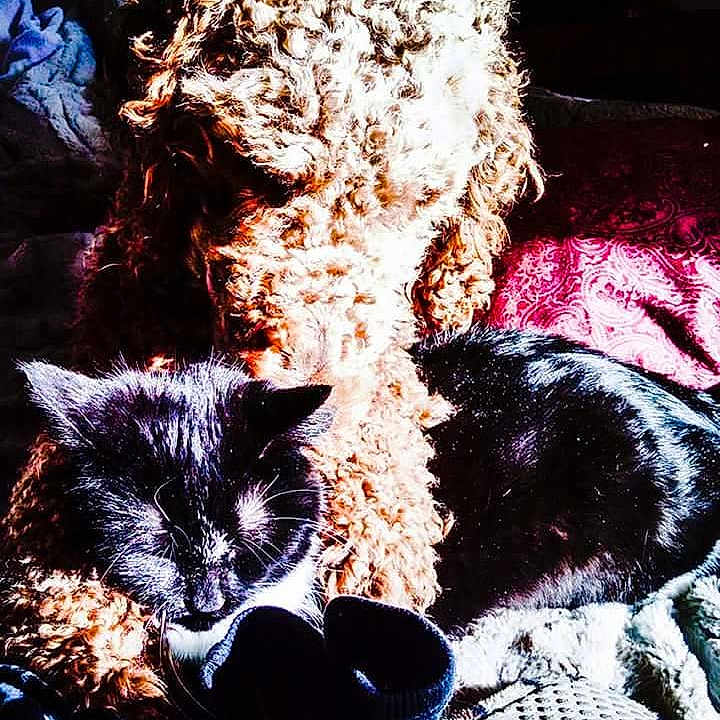 Bootsie joined the competition — help win amazing prizes!