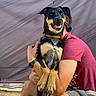 dog, person, hug, camping, tent, chair, outdoor, smiling_dog, yellow_collar, maroon_shirt, camp_gear, relaxed, joyful, nature, daylight, pet, recreation, friendship, happy, leisure