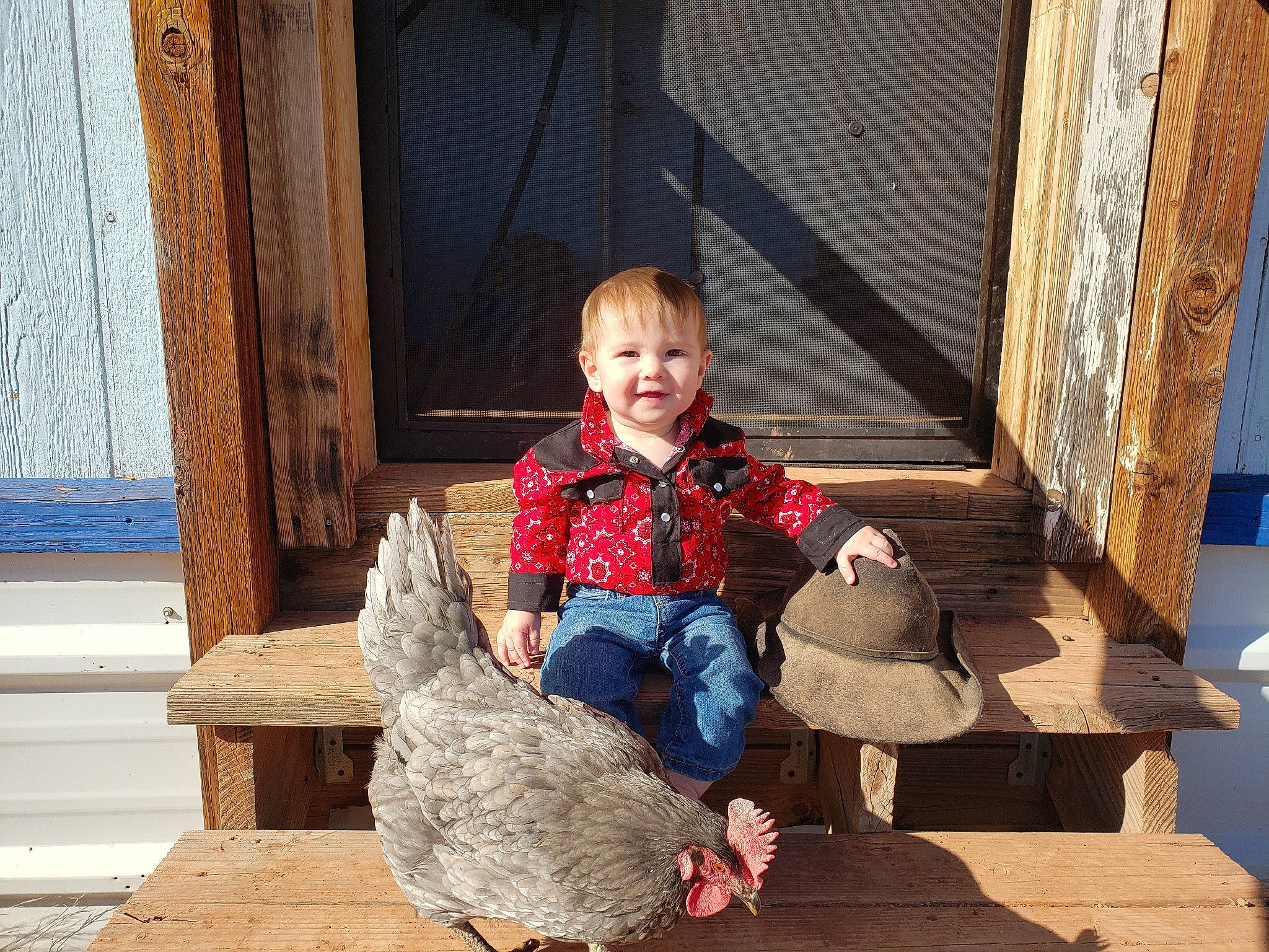 Cooper joined the competition — help win amazing prizes! blue, child, denim, flooring, foot, fun, fur, happy, human_leg, jeans, joy, leisure, person, sandal, sitting, smile, sneakers, standing, t_shirt, toddler