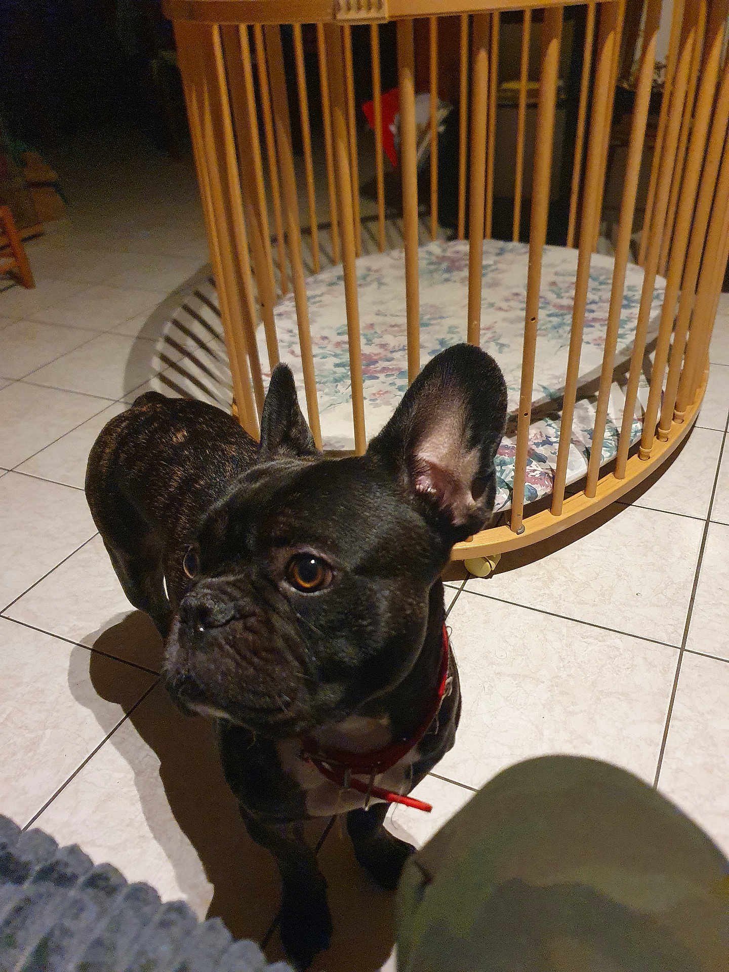 Rocky