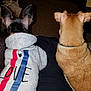 Rocky is registered to the contest to win money with this photo: dog, pet, hoodie, clothing, indoor, sitting, brown_dog, black_dog, back_view, animal, companion, cozy, collar, fabric, casual, friendship, love, relaxing, home, carpet