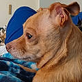 Lila H.