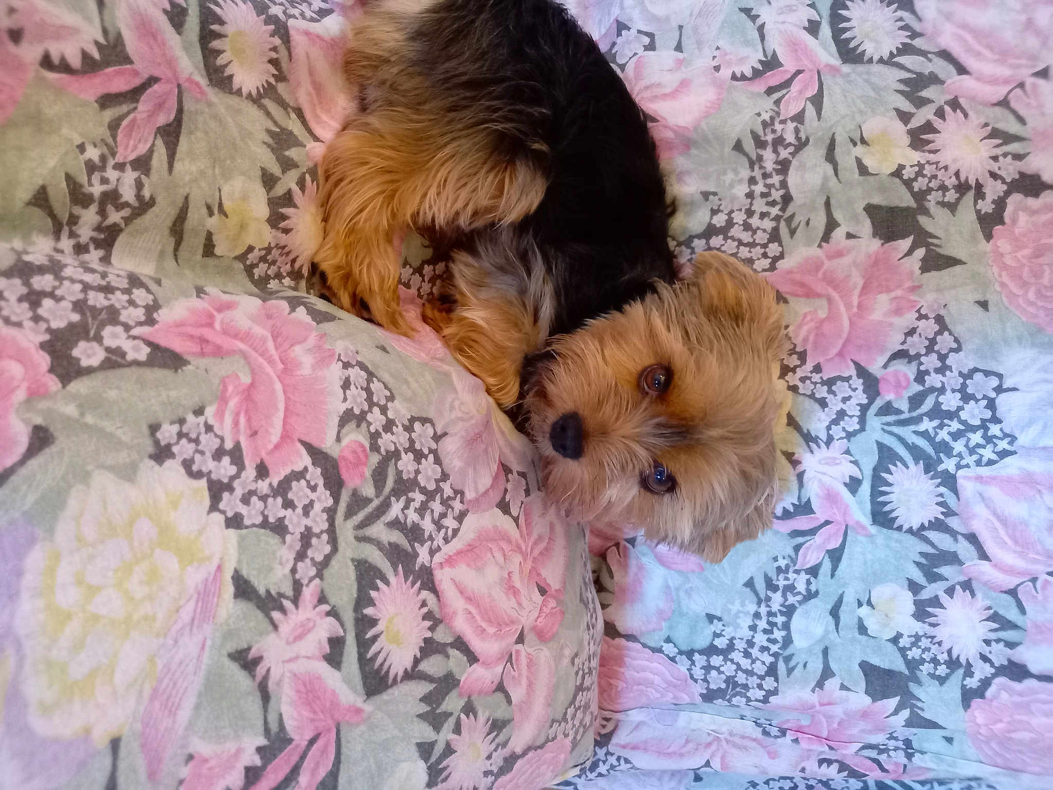 Billy
