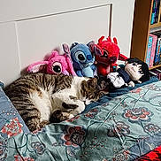 Zoro participe au concours pour gagner de l'argent avec cette photo : cat, sleeping, bed, plush_toys, stuffed_animals, floral_pattern, tabby_cat, indoor, cozy, resting, bedroom, shelf, books, cute, animal, feline, soft_toys, home, relaxation, comfort
