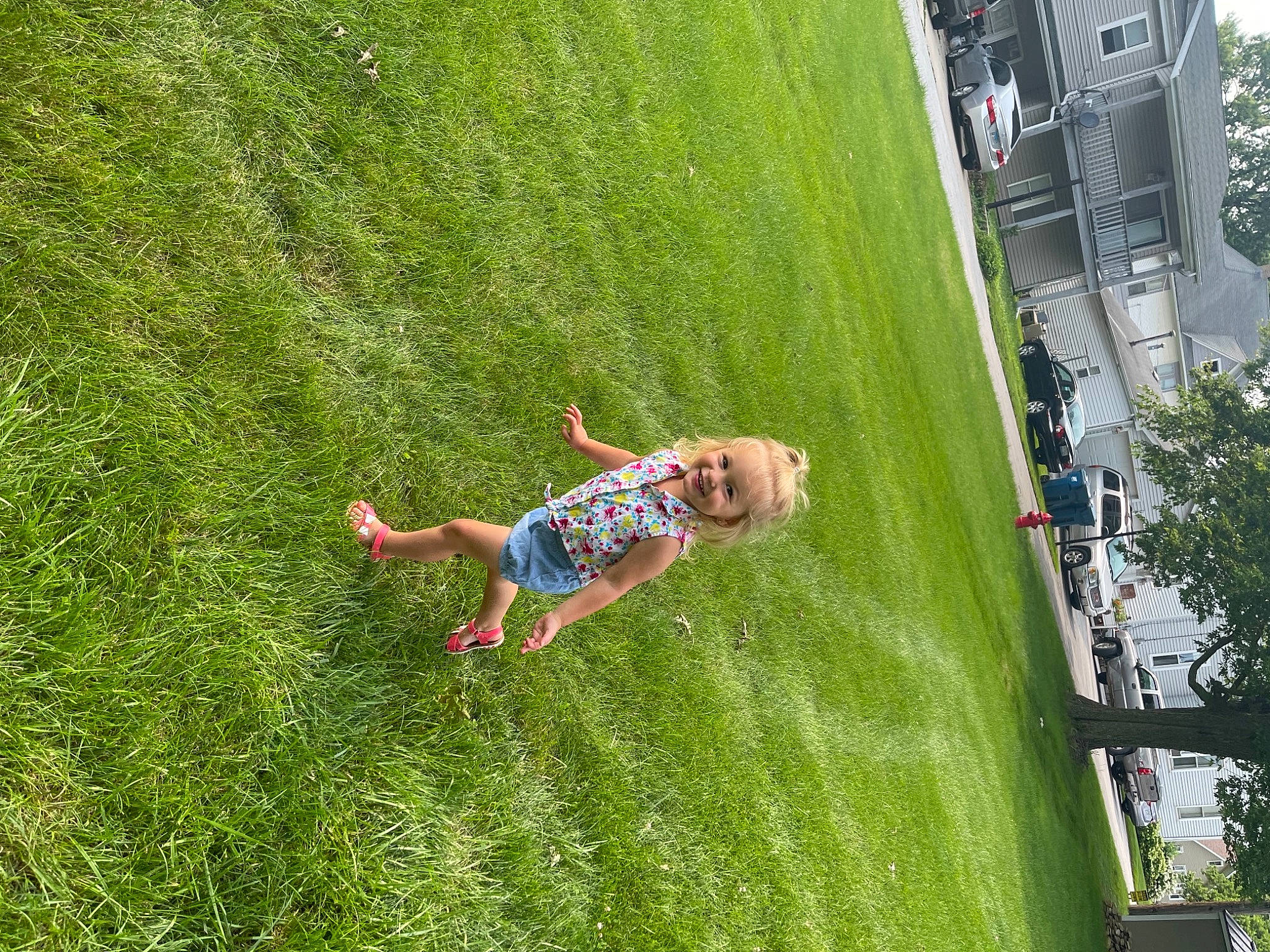 Evelyn is registered to the contest to win money with this photo: fun, garden, grass, grass_family, grassland, green, joy, landscape, lawn, leaf, leisure, meadow, pasture, people_in_nature, person, plant, recreation, shrub, toddler, tree