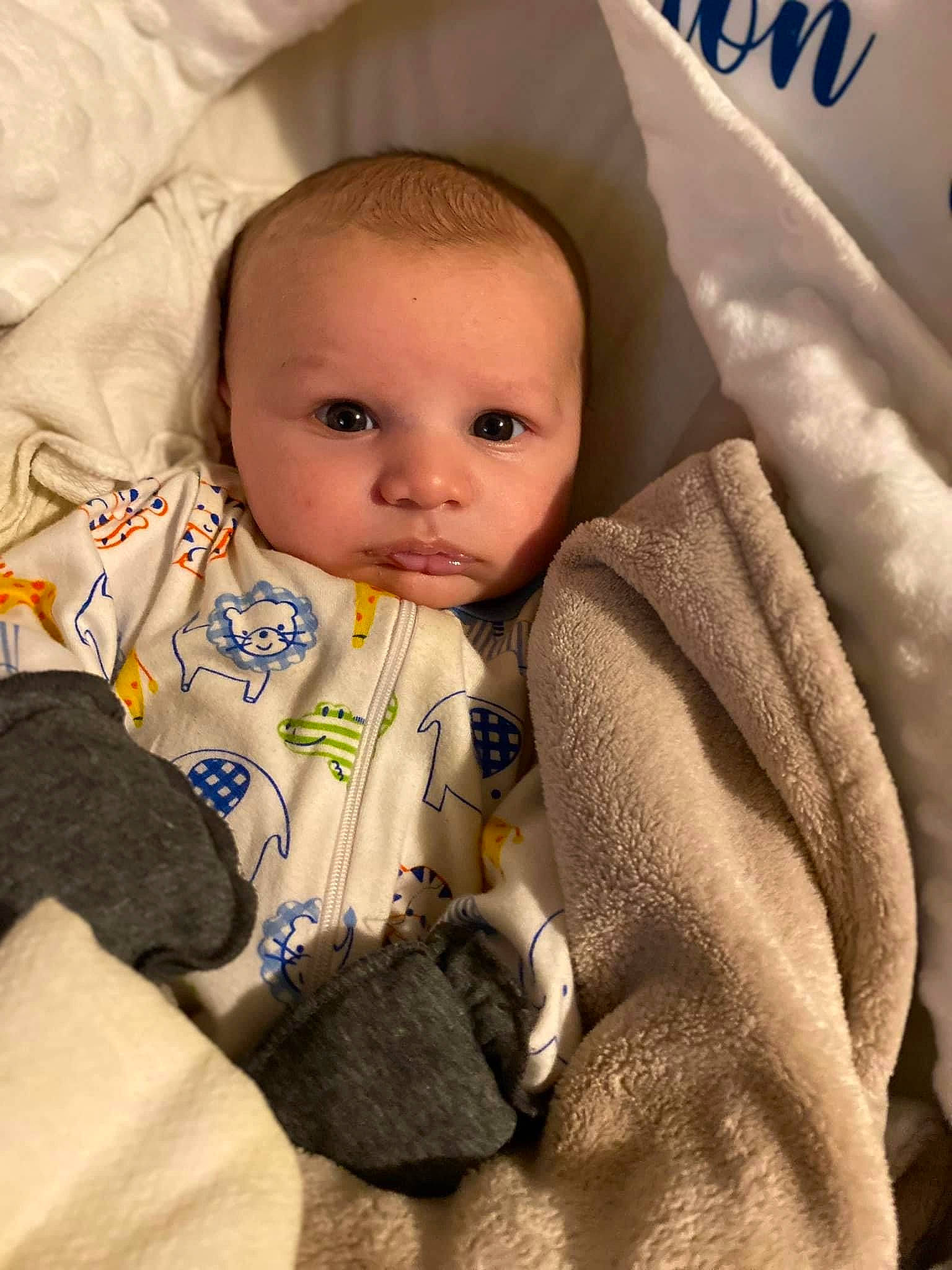 Jaxton joined the competition — help win amazing prizes! baby, baby_products, baby_sleeping, baby_toddler_clothing, cheek, child, comfort, fur, iris, linens, nose, outerwear, person, product, sitting, skin, sleeve, textile, toddler, wool