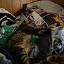 cat, tabby, sleeping, blanket, pillow, indoor, furniture, wood_paneling, cozy, resting, pet, animal, striped, fur, comfort, domestic, cute, relaxed, nap, bed