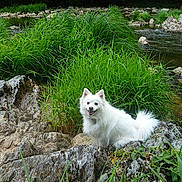 Dalhia participe au concours pour gagner de l'argent avec cette photo :