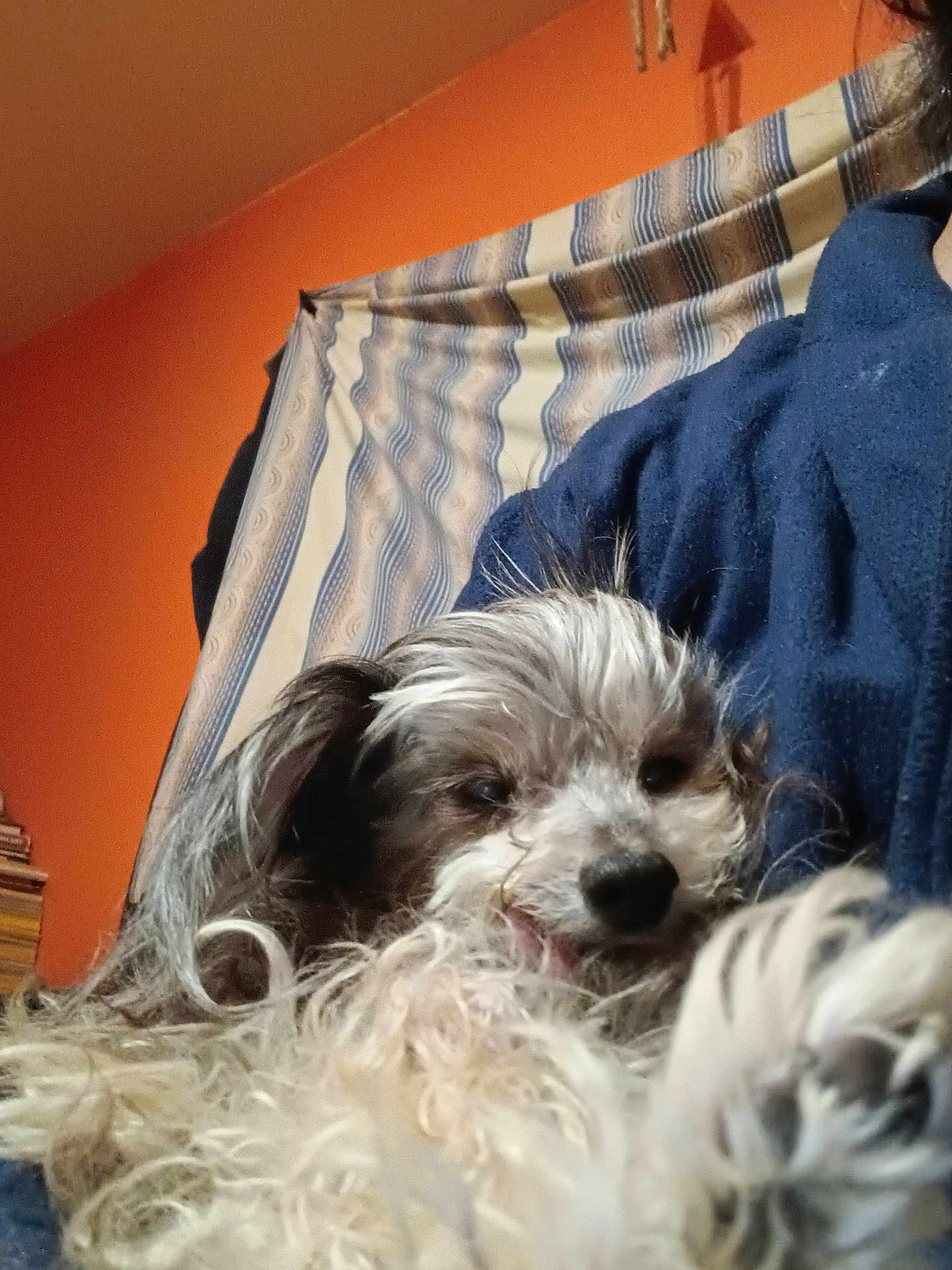 Mr D