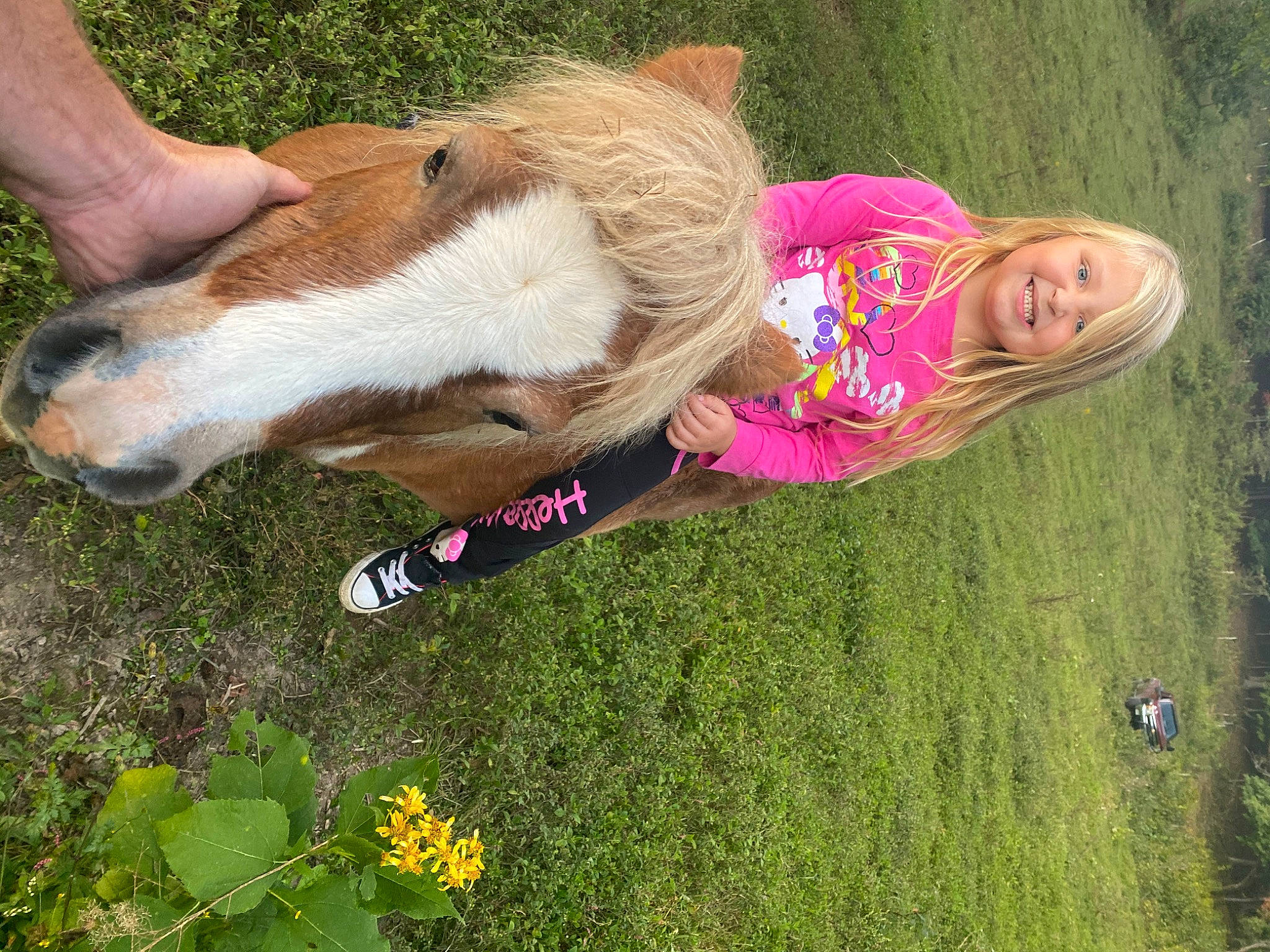 Jaycee is registered to the contest to win money with this photo: carnivore, companion_dog, dog, dog_breed, fawn, flower, fun, goat, grass, grassland, happy, human_leg, joy, lawn, leisure, meadow, people_in_nature, person, plant, sporting_group