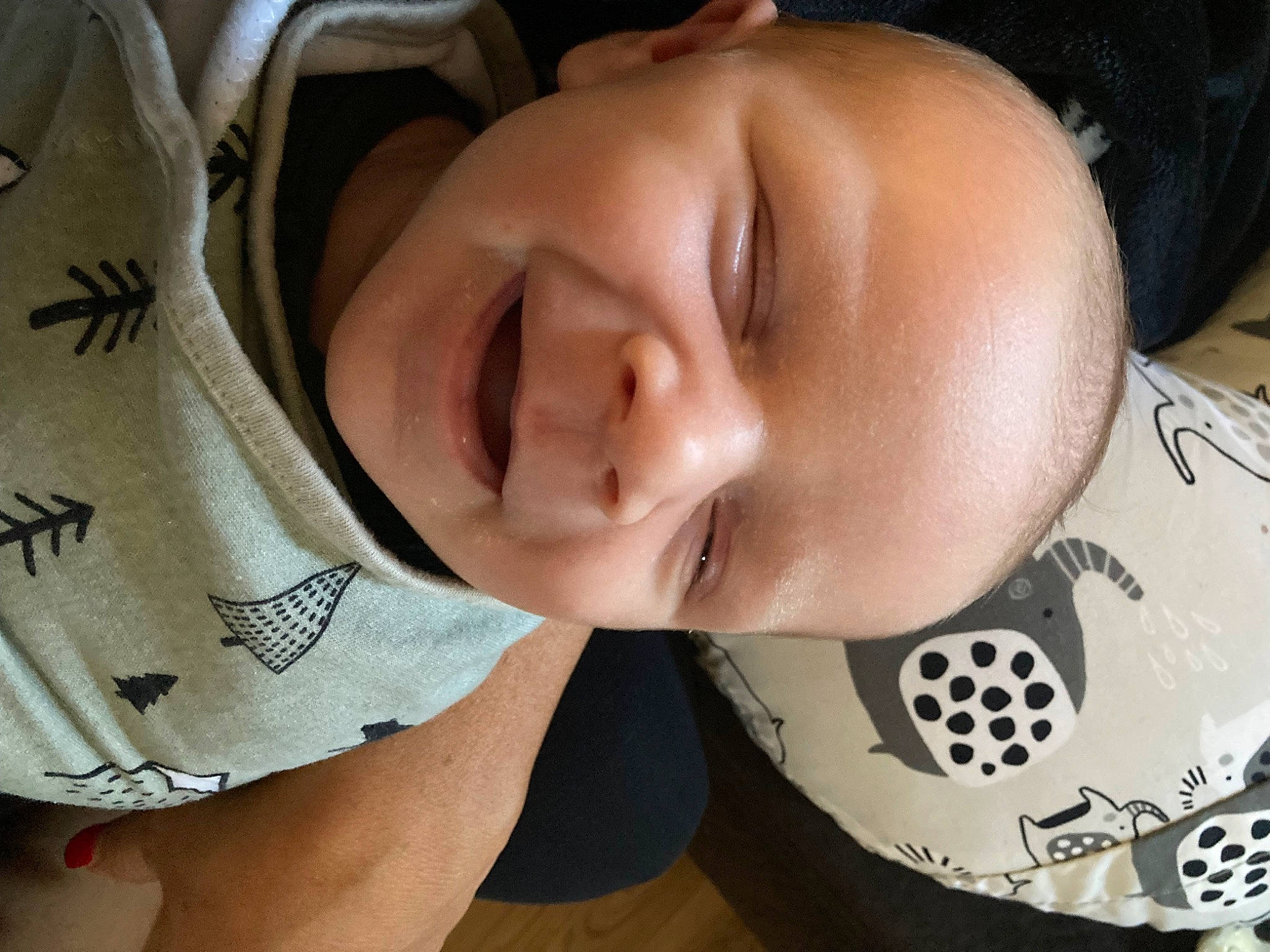 Ozzie joined the competition — help win amazing prizes! baby, cheek, chin, comfort, cool, eye, eyebrow, eyelash, finger, forehead, happy, headgear, lip, mouth, neck, nose, person, skin, sleeve, smile