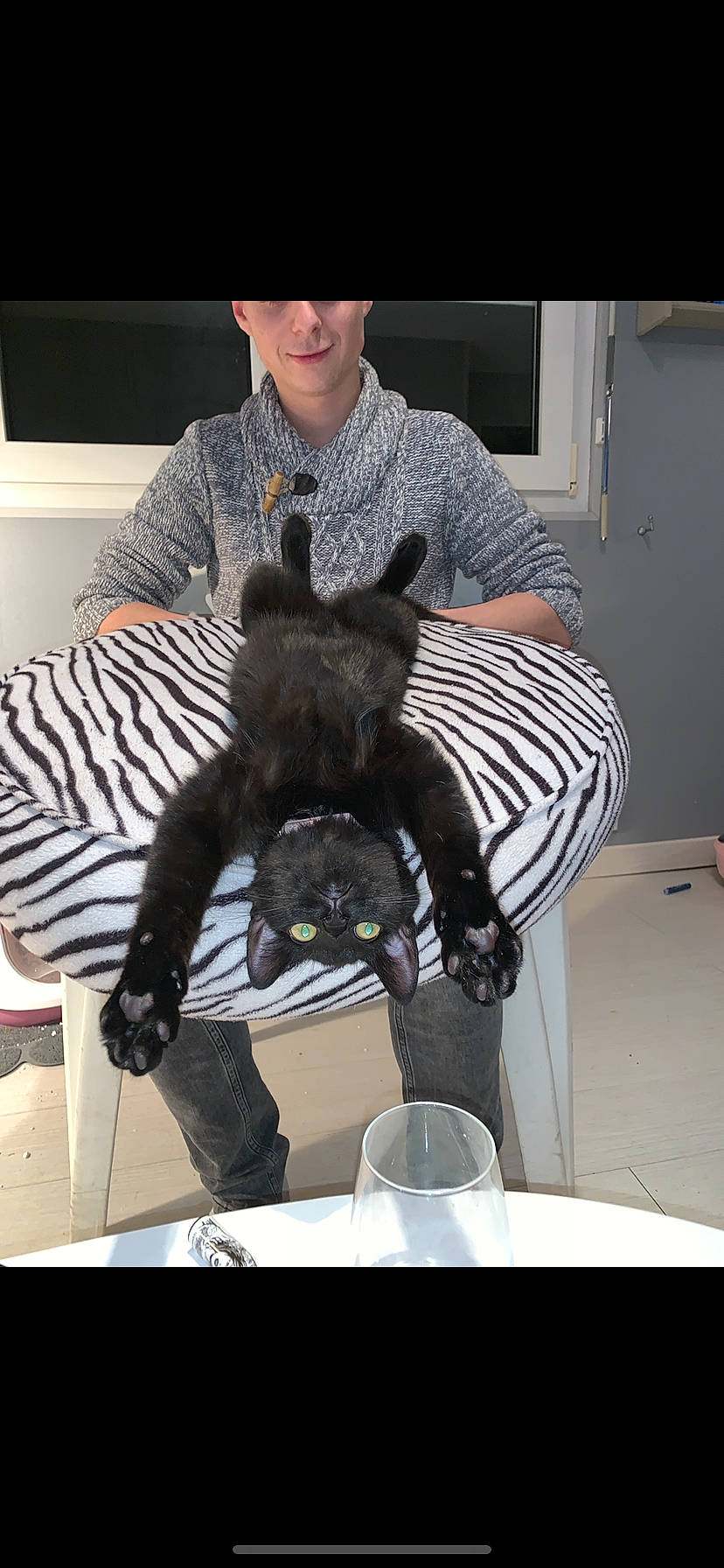 Zïa participe au concours pour gagner de l'argent avec cette photo : carnivore, cat, felidae, person