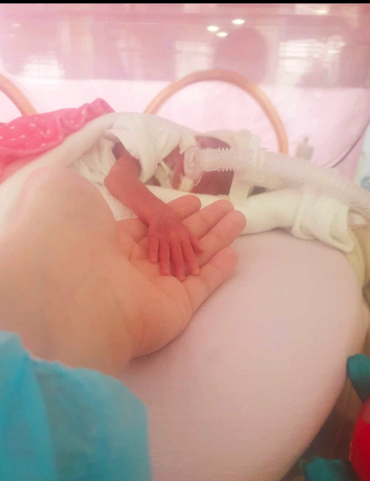 Camélia participe au concours pour gagner de l'argent avec cette photo : premature_baby, hand_holding, incubator, medical_tube, hospital, newborn, fragile, delicate, blanket, infant, care, medical_equipment, patient, bed, skin, person, closeup, healthcare, support, love