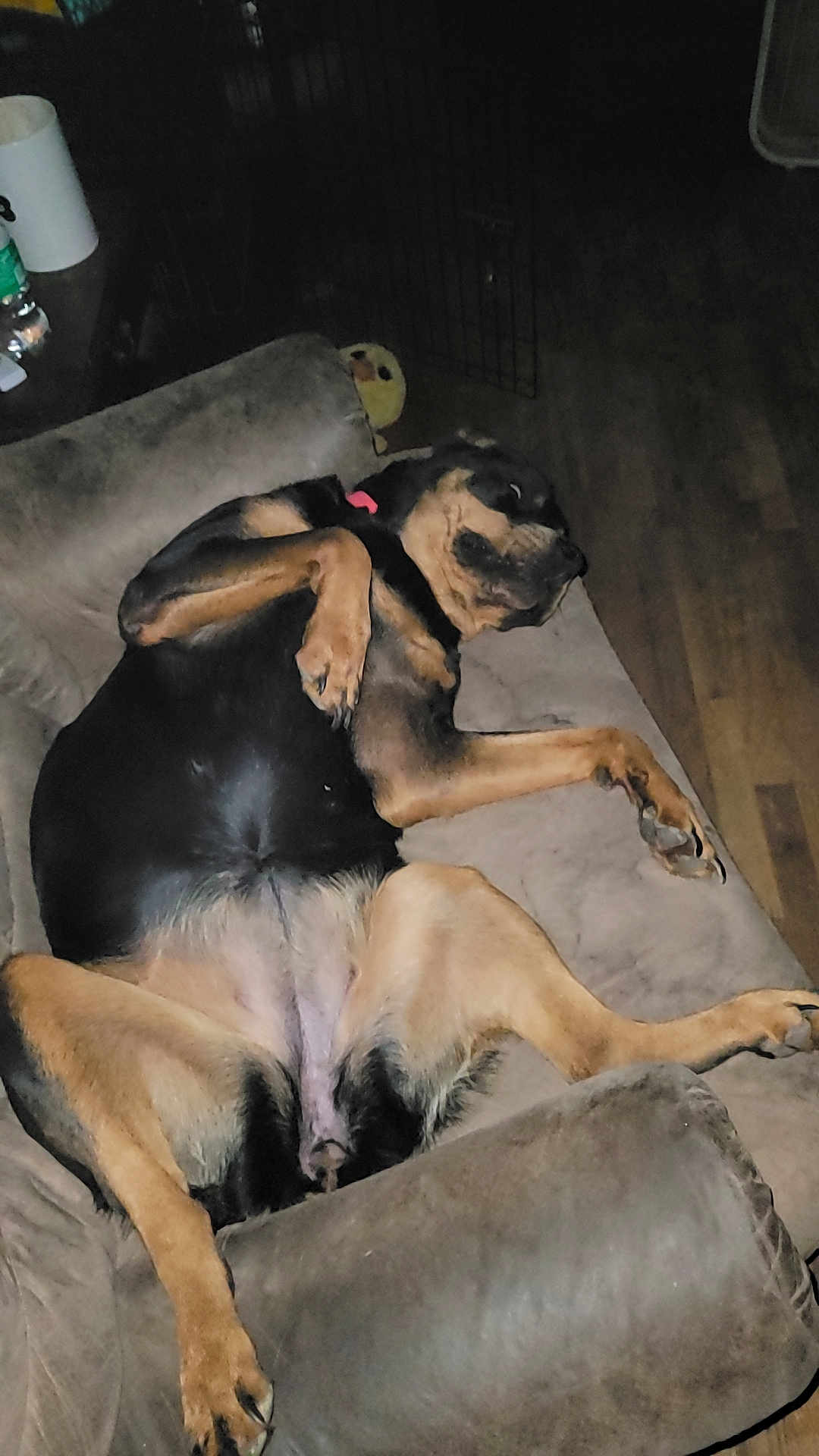 Mya