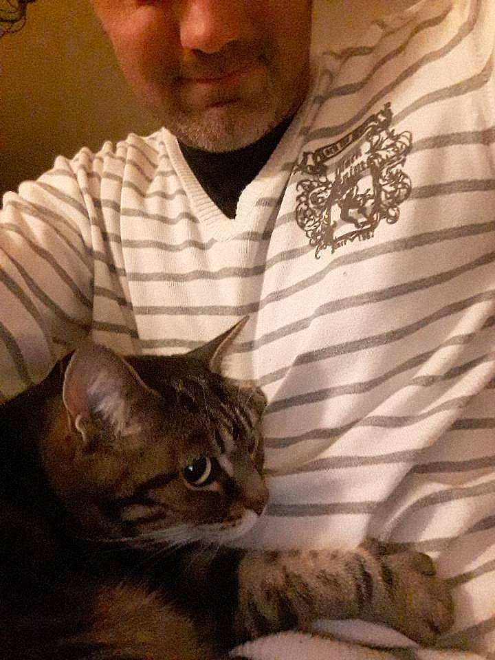 Chouchou participe au concours pour gagner de l'argent avec cette photo : beard, carnivore, cat, claw, comfort, domestic_short_haired_cat, ear, eyewear, facial_hair, fawn, felidae, fur, moustache, selfie, sitting, small_to_medium_sized_cats, snout, t_shirt, terrestrial_animal, whiskers