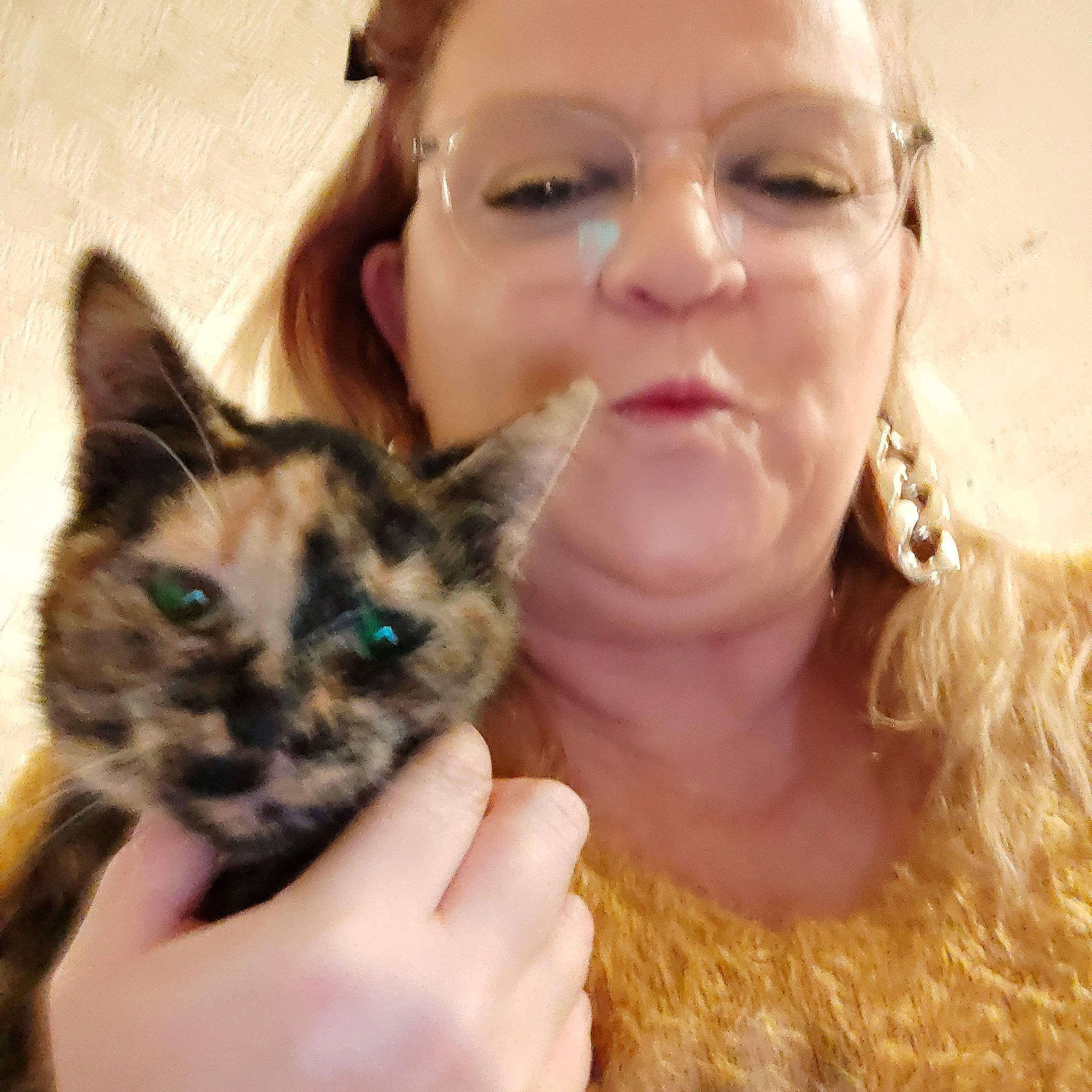 Hina participe au concours pour gagner de l'argent avec cette photo : carnivore, cat, ear, eye, eyelash, fawn, felidae, finger, gesture, hand, happy, iris, jaw, nail, neck, nose, skin, small_to_medium_sized_cats, snout, whiskers