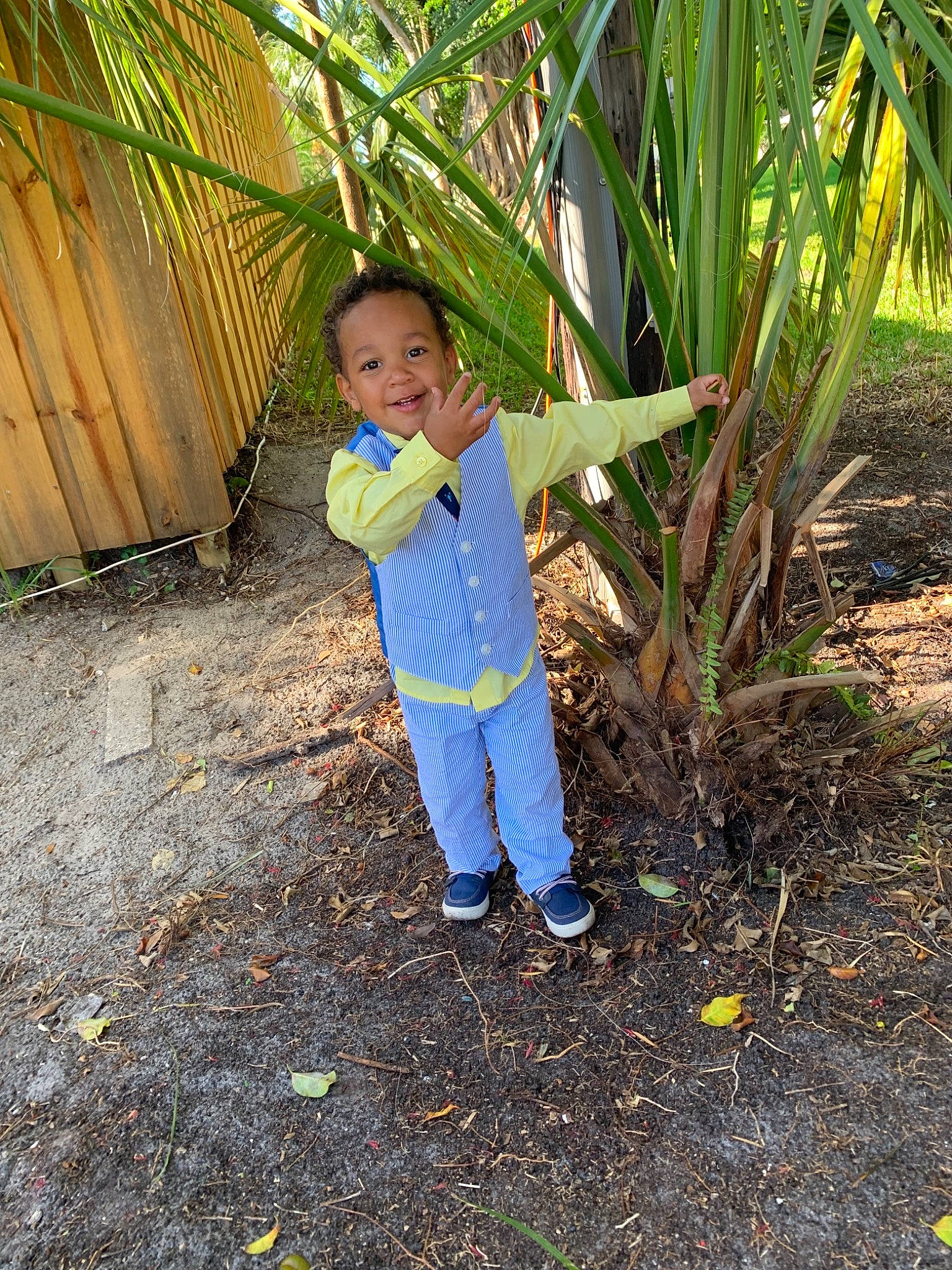Tyree Marshall is registered to the contest to win money with this photo: adaptation, botany, child, grass, grass_family, jeans, joy, leaf, palm_tree, person, plant, smile, soil, toddler, tree, vacation